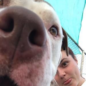 Meet your Posher, Molly